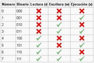 imagen1 300x203 1